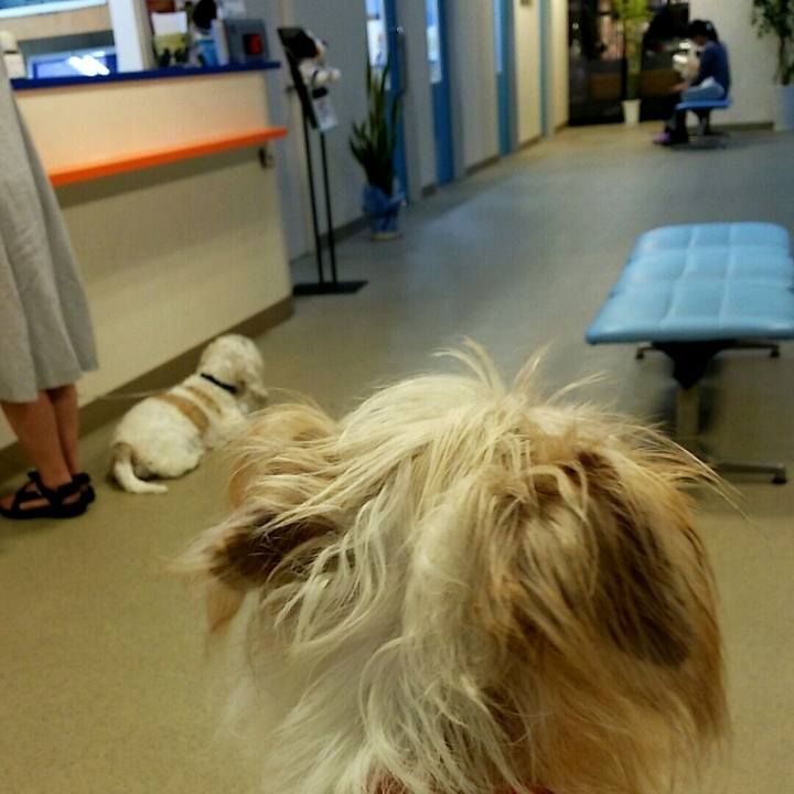 Decec18f 491e 4565 89ee e43b7118928e