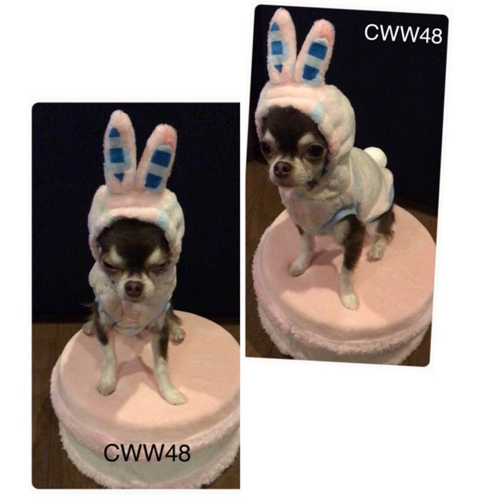 Decf22a7 f151 4714 9d2d 14085db045a5