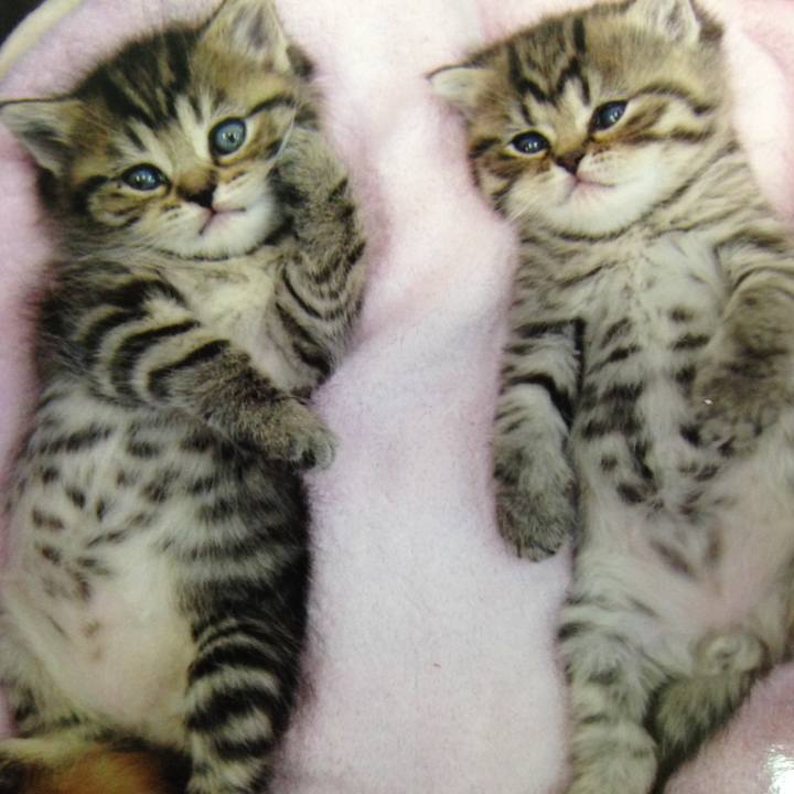 Decfd7da 067d 48ea 8978 a518350da749