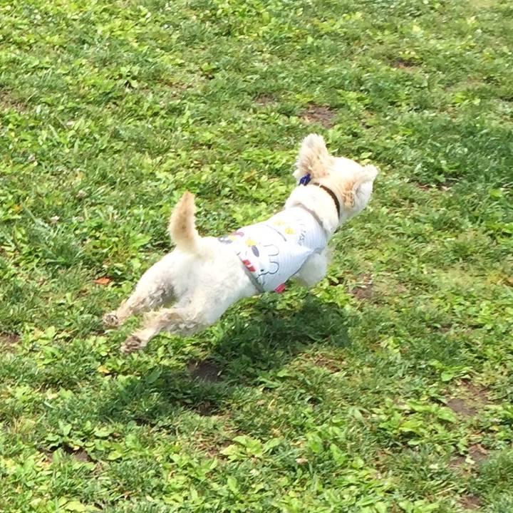 Ded08550 9ad5 424f ba41 de18aeb19c2f