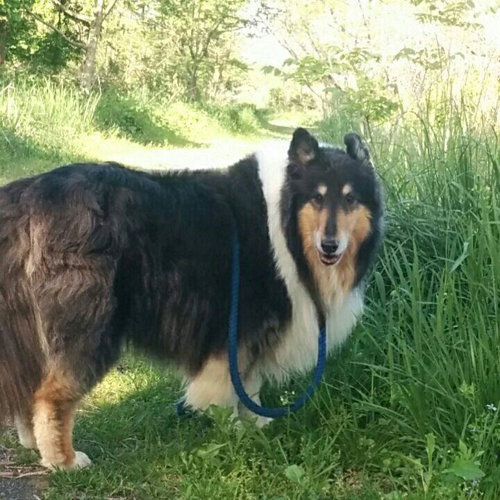 Ded0ca06 8e54 410b 8c9e 2f8cbd8d0863