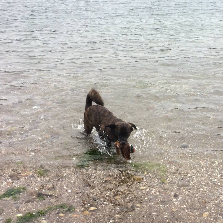 Ded1a49b eca6 4e12 b5d4 11fa5a128f33