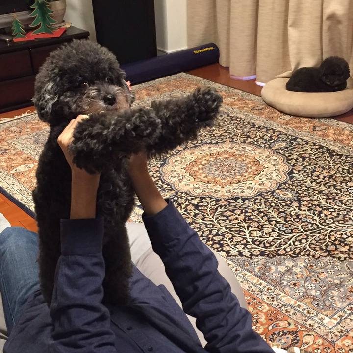 Ded1fdf0 5913 44d3 a4f8 978da22bac99