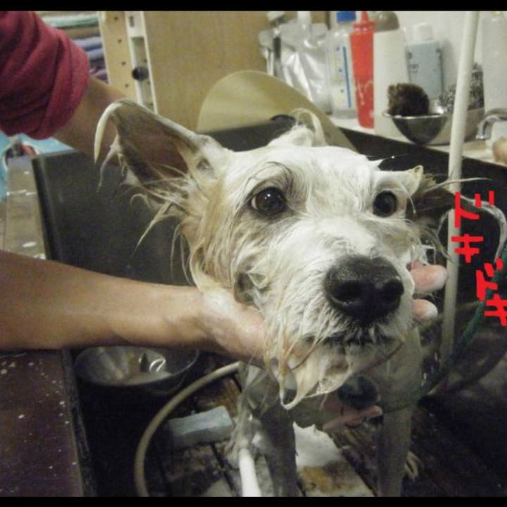 Ded216f1 7609 49db 8aa7 0ce73bb1529f