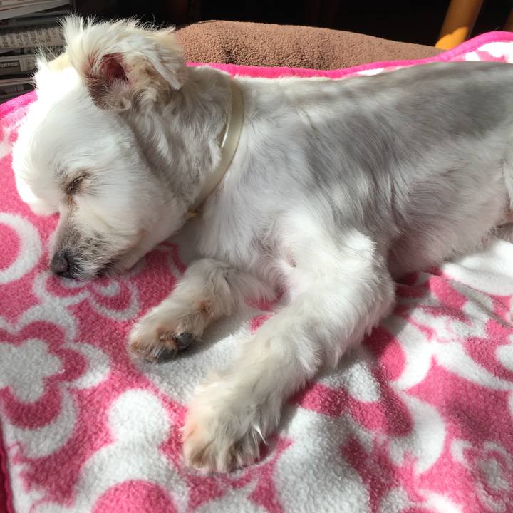 Ded2a049 15d1 434a 9810 10d9f75b5348