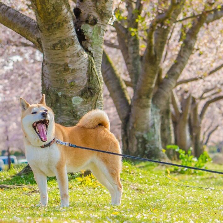 Ded340fd a1b8 4d29 bbca 67b29a144cd9