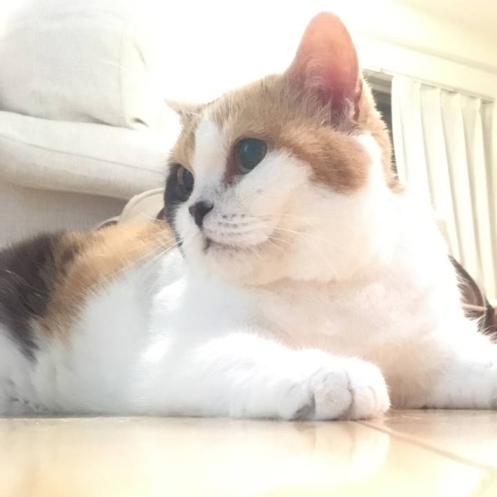 Ded3751d 93ed 4020 ada0 d8be9c5159a6