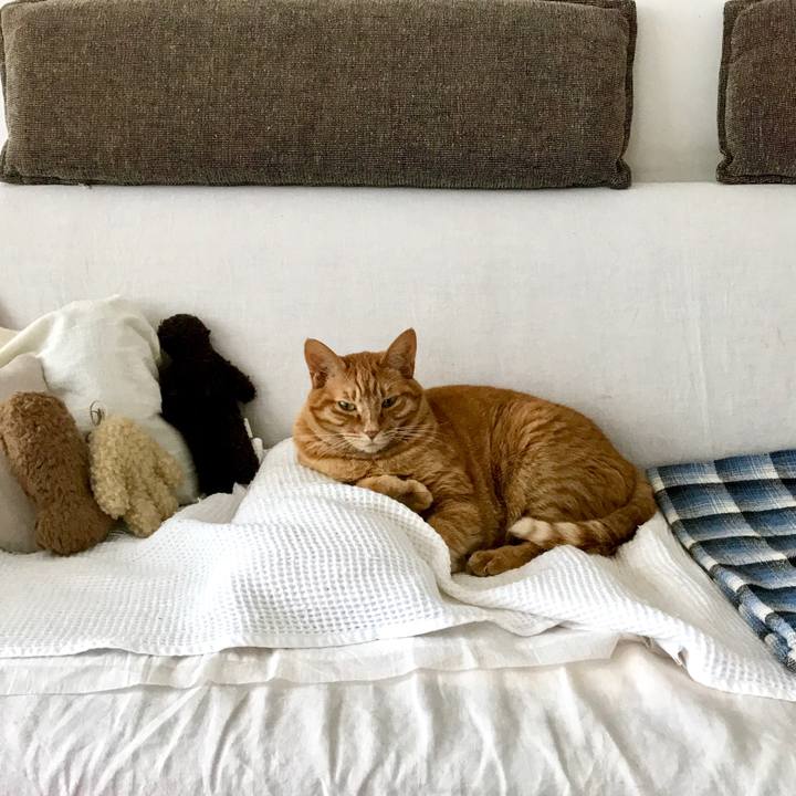 Ded44ef0 8fa0 470a 8d84 c338d1eee885