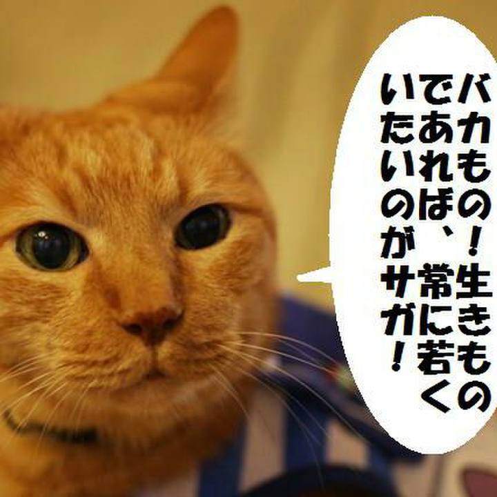 Ded495ad d861 4778 9e0b 5a0c0e1cb581