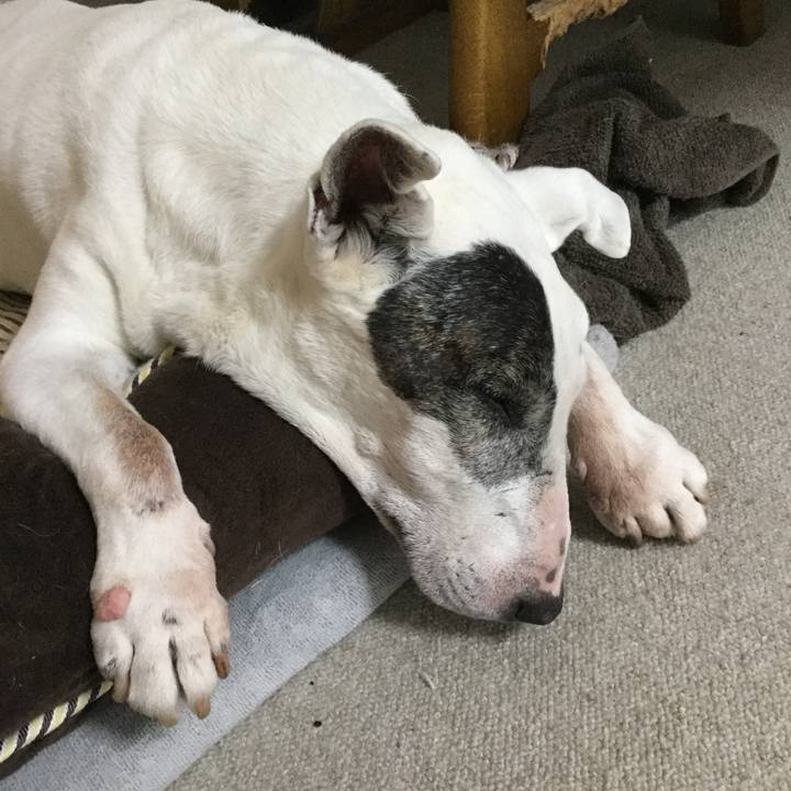 Ded6c89d 65f6 4485 8371 d7b56722a0d4