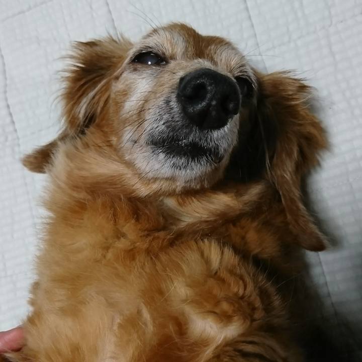 Ded7451d 750e 4fc7 9359 90ae820df31e