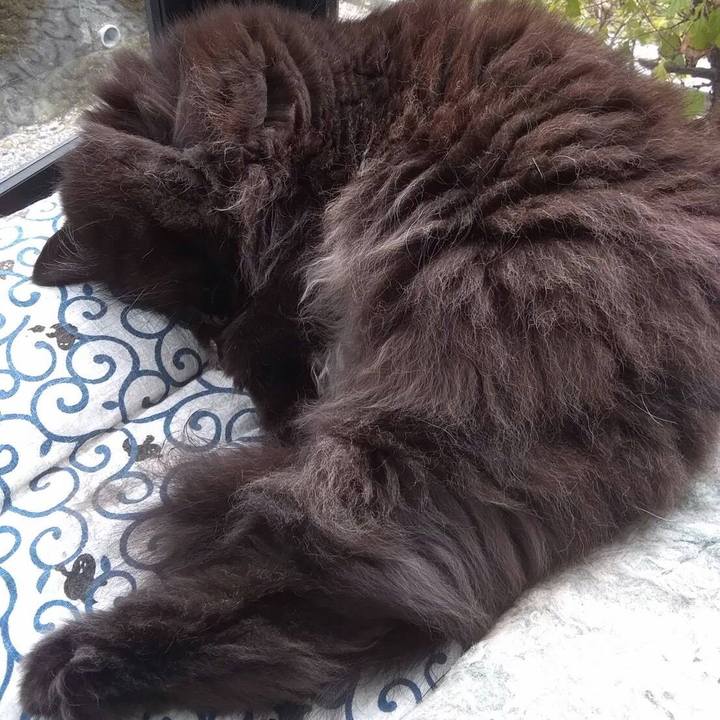 Ded798b9 1465 4379 b327 3562f6ac597d