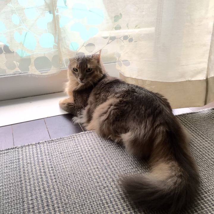 Ded818f2 15ef 4989 8cab b72d0eecf501