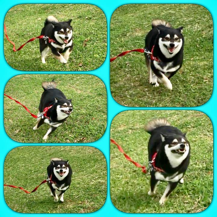 Ded82bac 4512 40ec ab86 811693247669