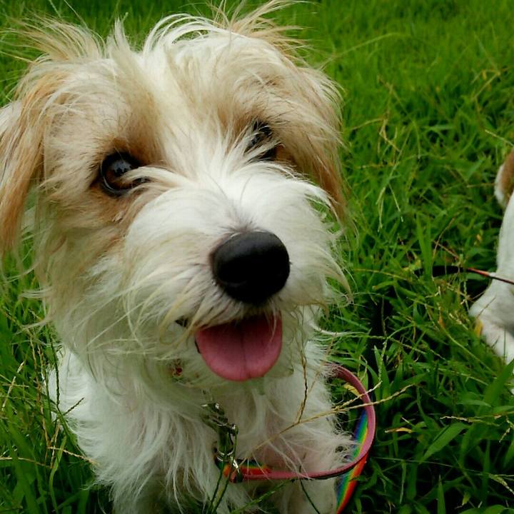 Ded82d04 2589 41b9 8d23 4b7342805b19