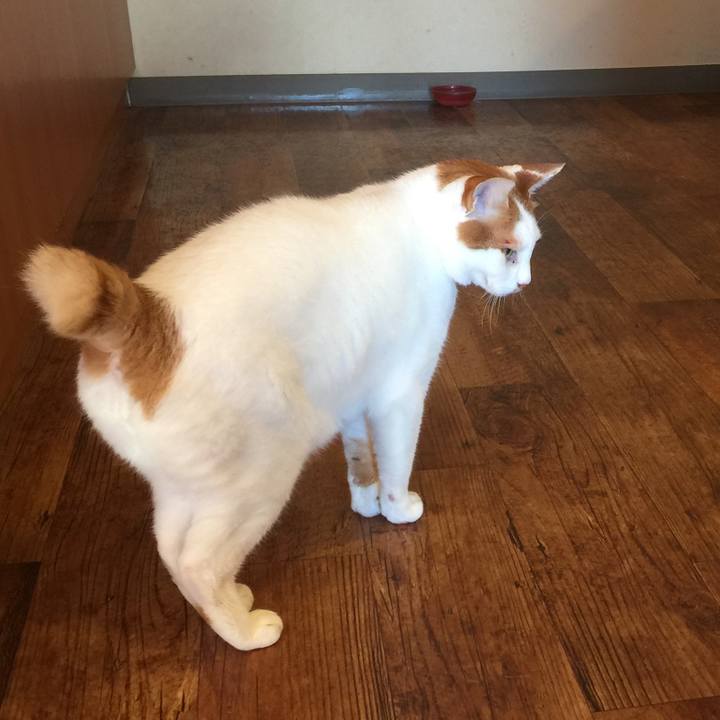 Ded86c96 9079 4486 a5e8 d9d2a759a4cc