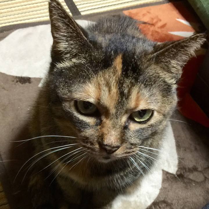 Ded98fc1 1f5c 4973 b784 5cddc232d58a