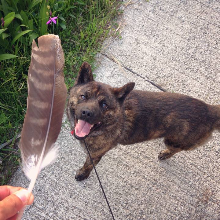 Ded9c8c2 da6e 4a19 870e c5ec137f18e7