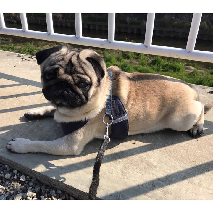 Deda302b af40 4d83 8a52 f1cef874a0d5