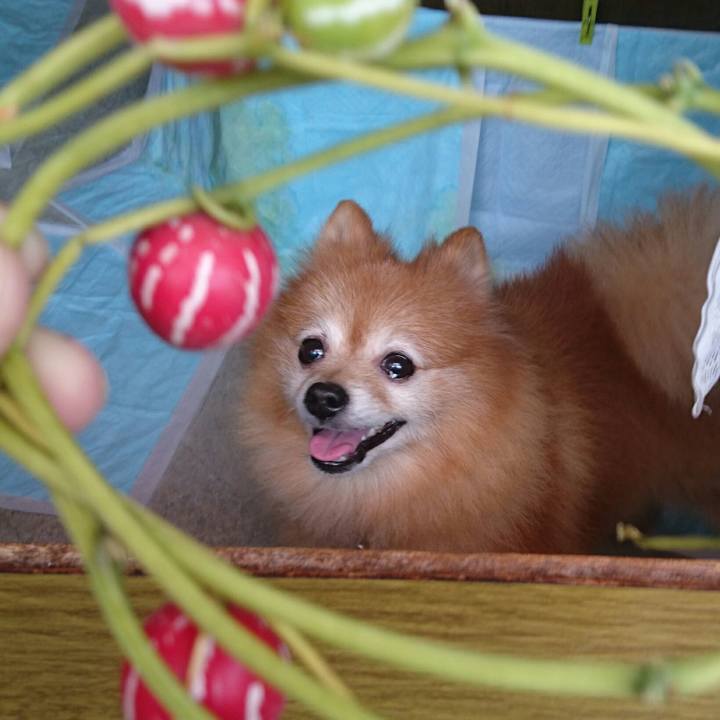 Deda63b1 fccd 4099 b383 9da4f247f846