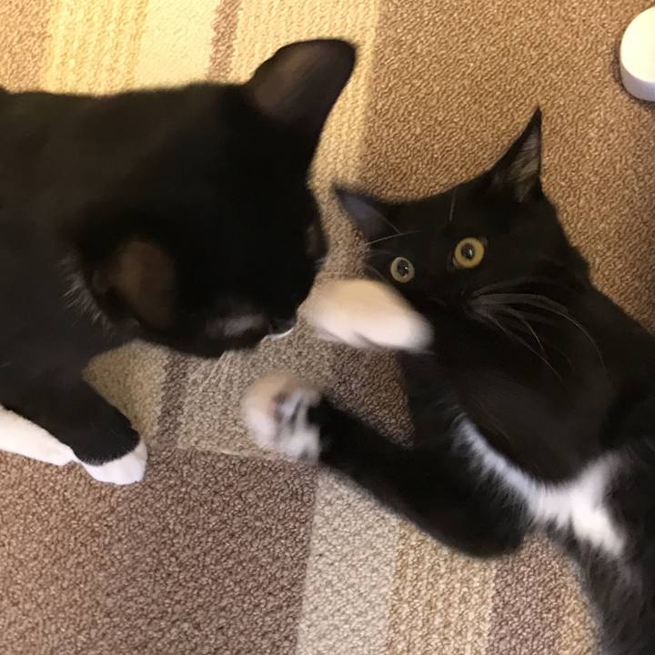 Deda8420 78b7 4226 907f b2318ccb9a13