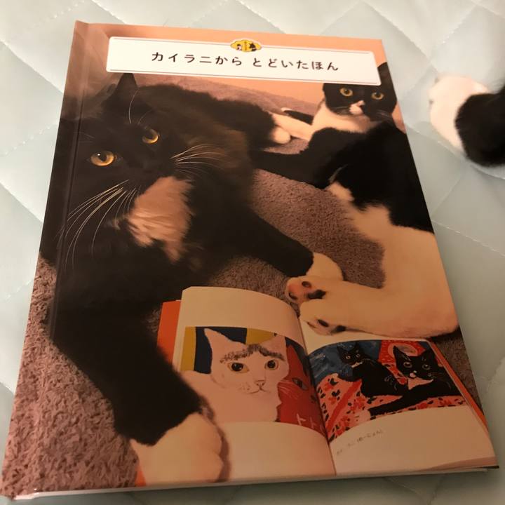 Deda9d46 f639 4d42 bab5 74df338ad5f9