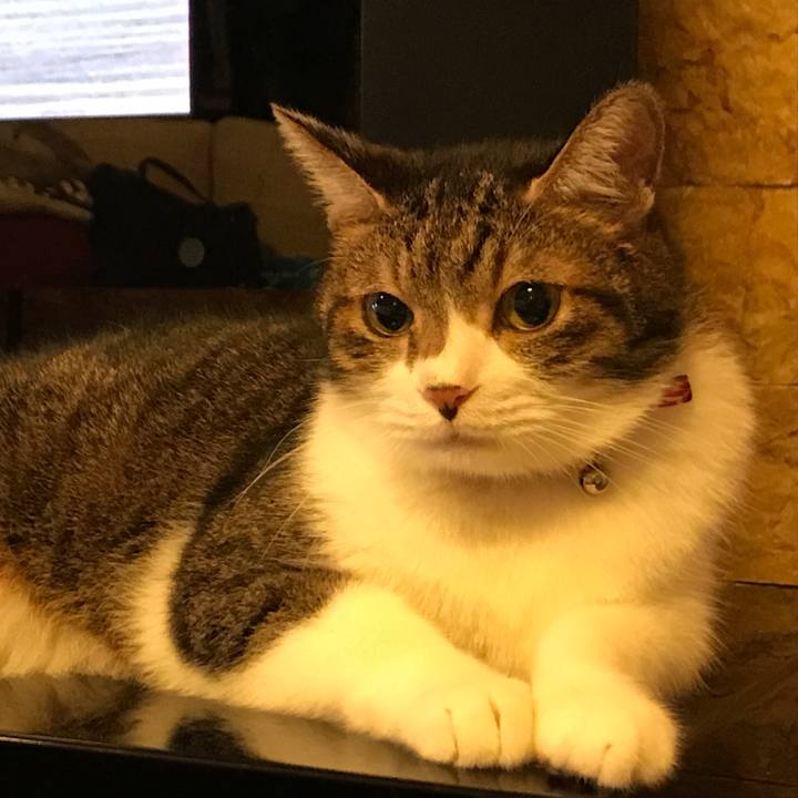 Dedab03f ce3e 4749 ab49 52ec6b281d82