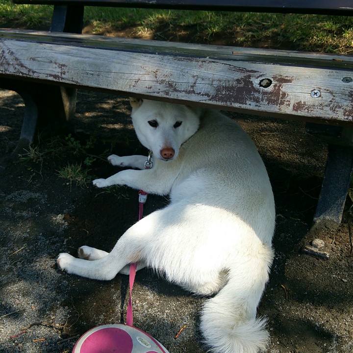 Dedabbf8 07d7 4017 b5b9 5ed210728a5e