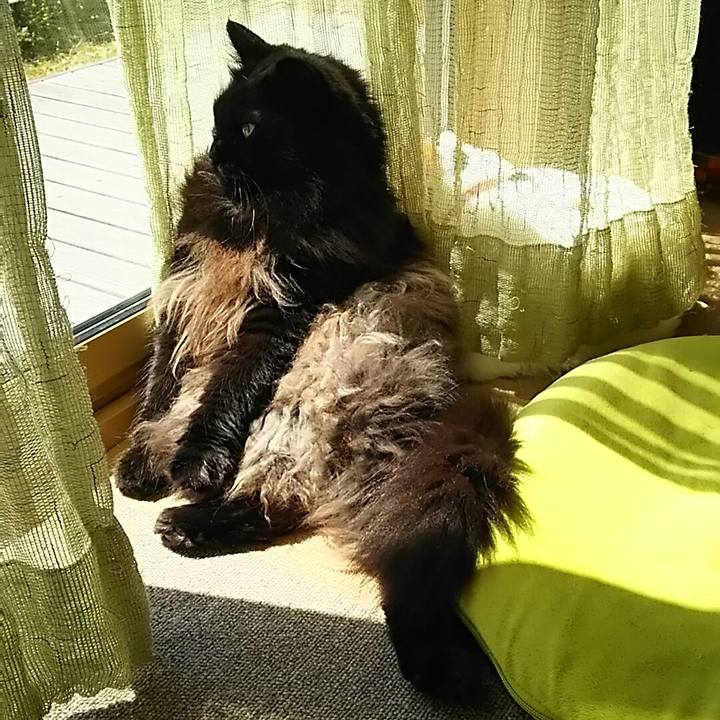 Dedafd89 149a 45c7 9516 22aaf3cbc9e4