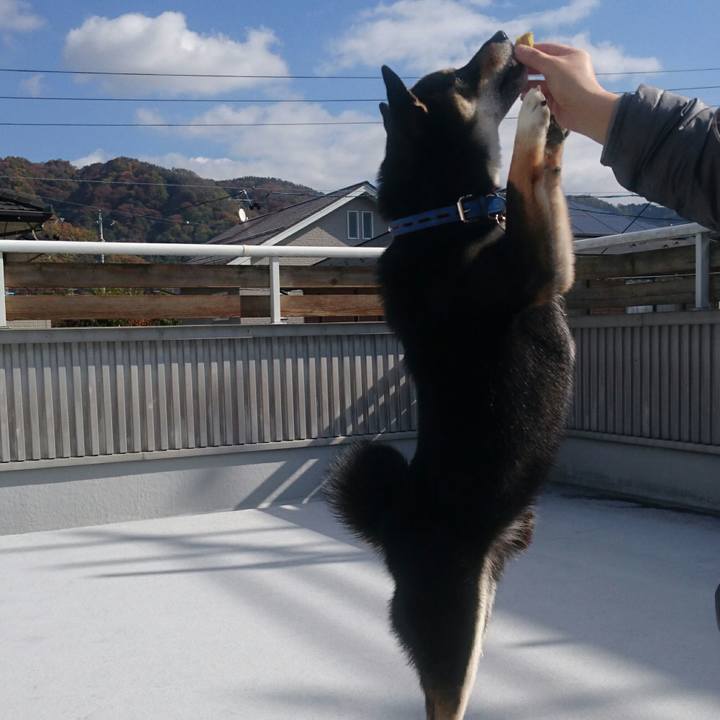 Dedafd8d c2eb 4ca3 8a9e 73701dd9d8d9