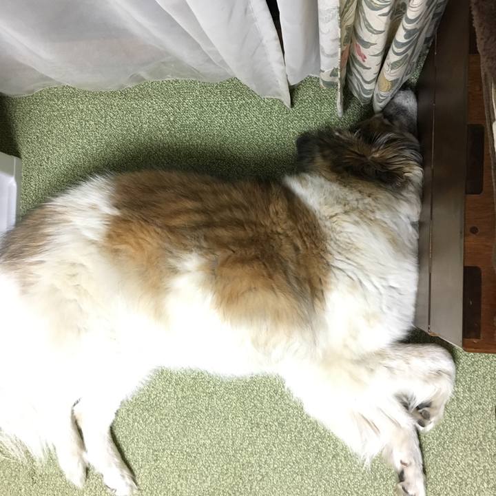 Dedb02bd 0499 4f29 8fca f8189f7cbcea