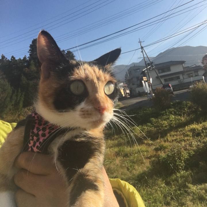 Dedb16d9 c8fa 415f ac09 0584430478d6