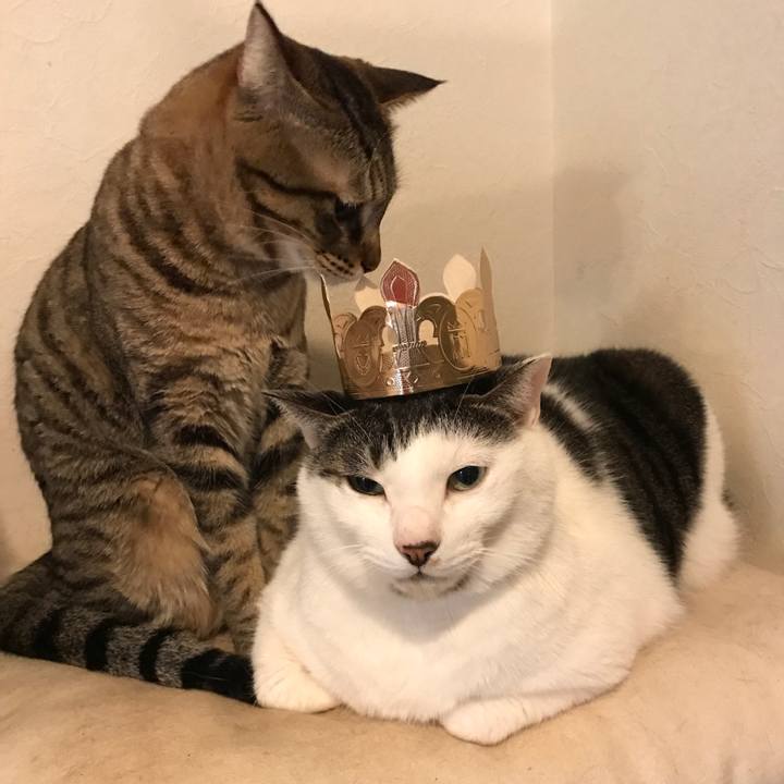 Dedb7415 b18e 44a5 b04e da0f4b0a4801