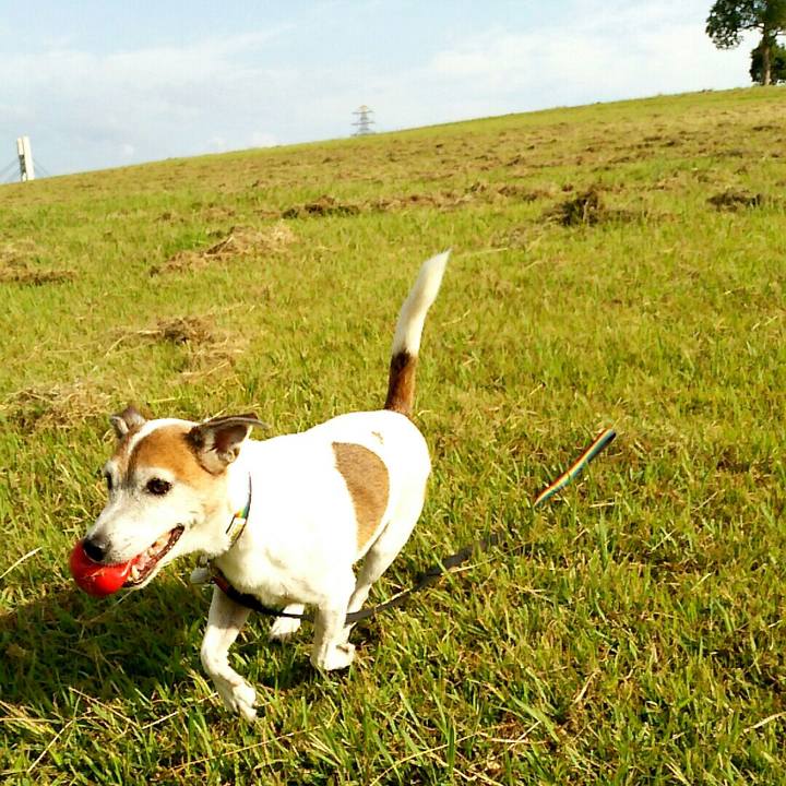 Dedbb7b8 839f 44fb 905b 6cbcbf6e0849