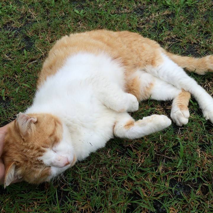 Dedc2062 9bf1 4b48 996a 37b0bb0259a6