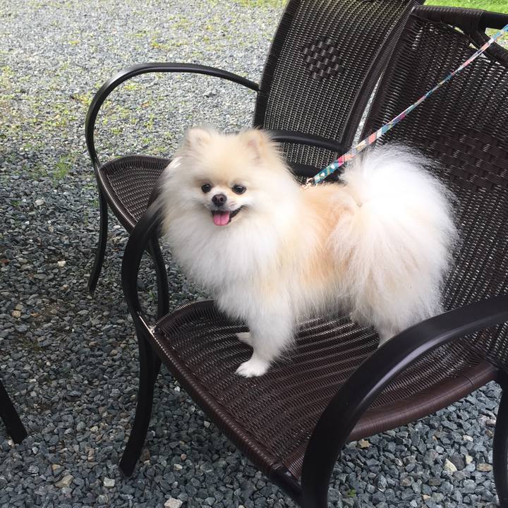 Dedc98ef 3b07 48fc ba5c 1b3f6f846ac0