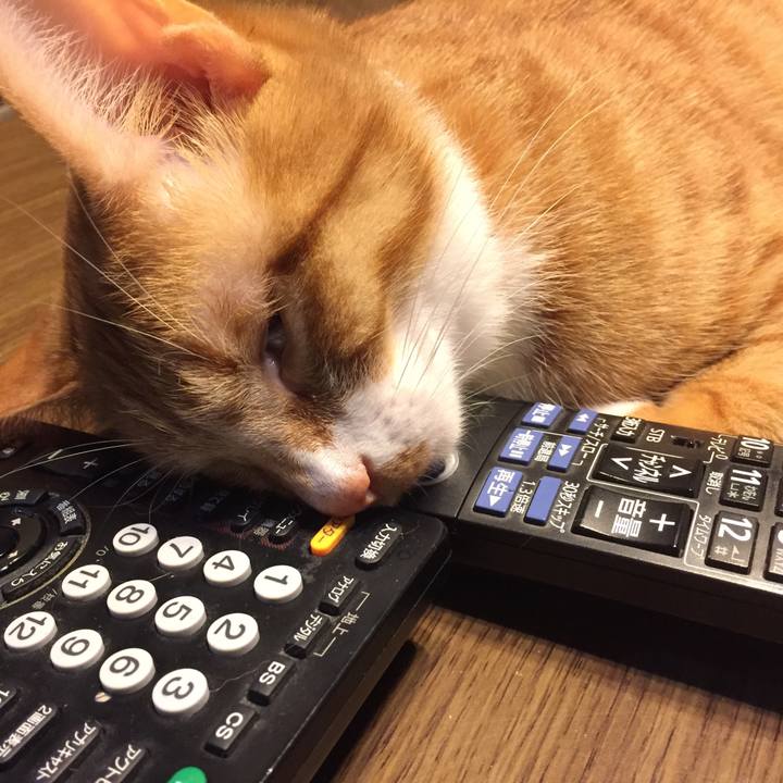 Dedc9e88 d9df 4bdd 87e6 59d19ca1d354