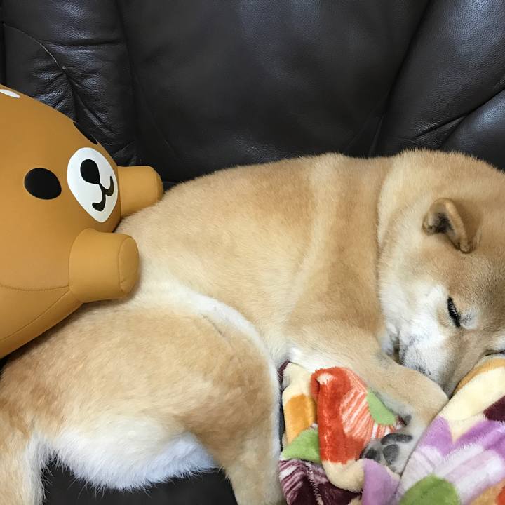 Dedcfe43 bda1 423e 94e9 7ab50e9363ed