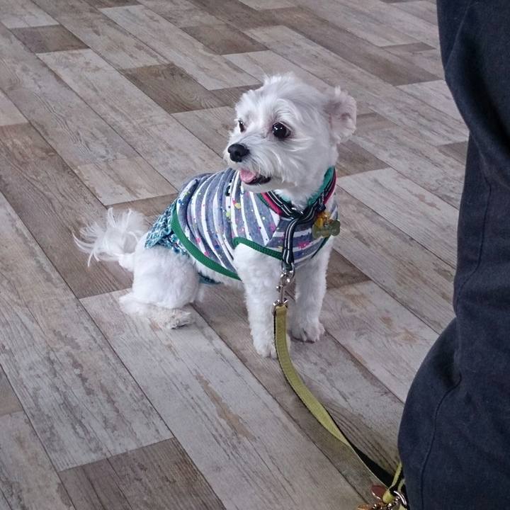 Dedcffe0 ae89 4142 9426 5b6ddedb33f9