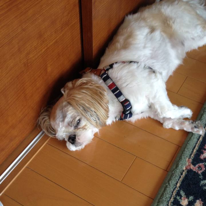 Dedd0168 6270 4279 8fa9 d2368cee3759