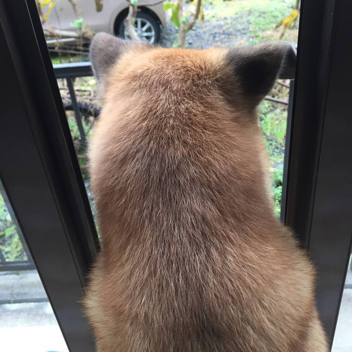 Deddc1d1 b69e 48c7 b62b 0fc3a1e2b058