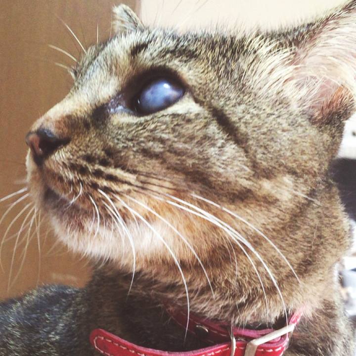 Dede16c3 3bbb 47ba b08a 779f85a811d1