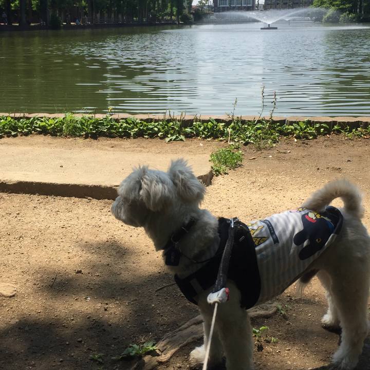 Dedf04f6 6753 4442 95ee 66666666418d