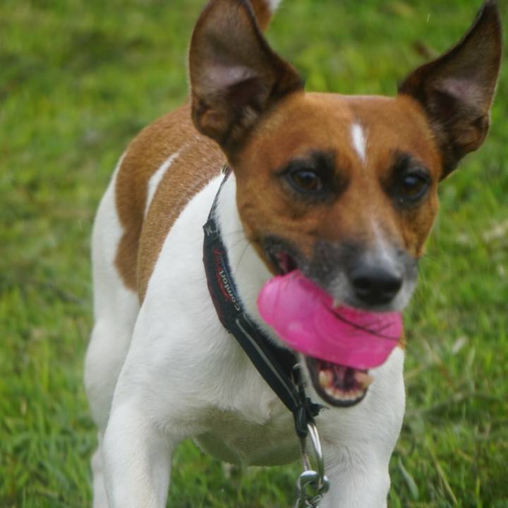 Dedf25ad e7b2 4fbe a751 482f7fade8c4