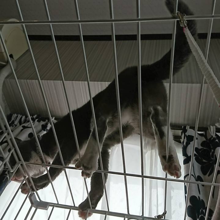 Dedfa15a b97b 45f1 9e52 65ddeea6f41d