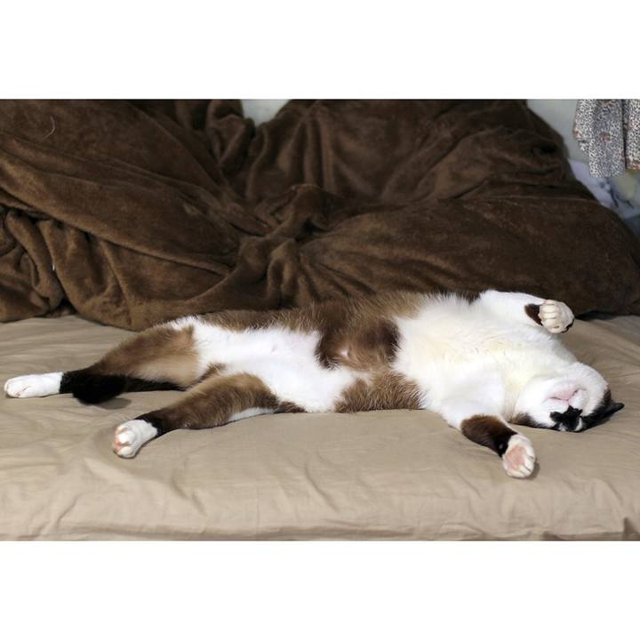 Dedfeea2 5339 4e4b be64 f6a441e62d5d