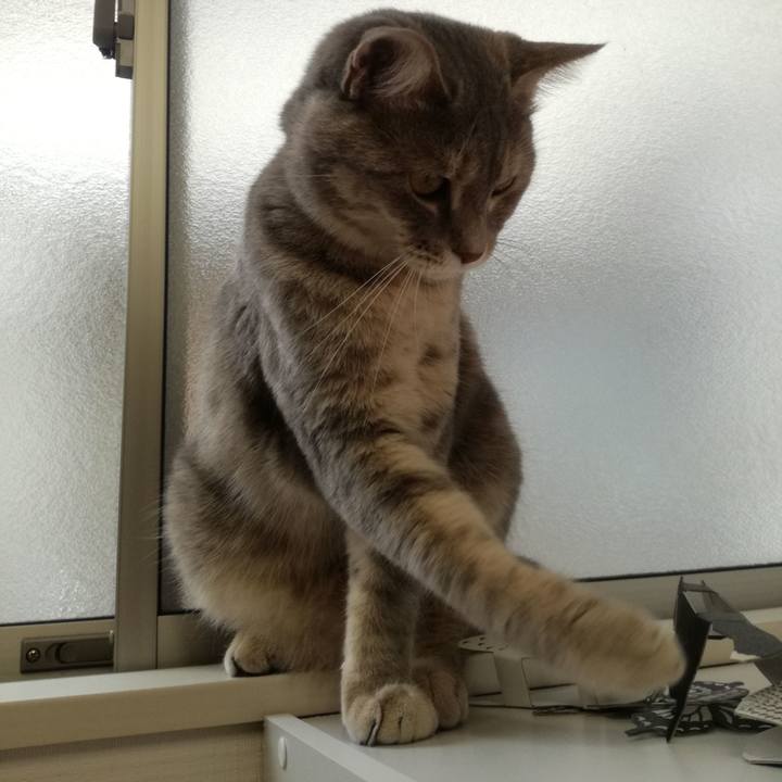 Dee04794 a292 4b92 9af4 76d8e638b96d