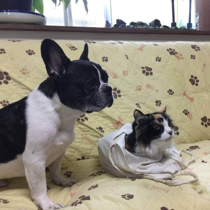 Dee062c1 471e 4d3a 82bf 229ca7e3eddf