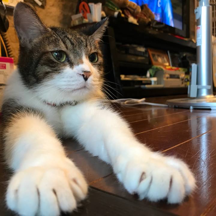 Dee0d33b 19cc 4f16 99eb 59857d8b1514