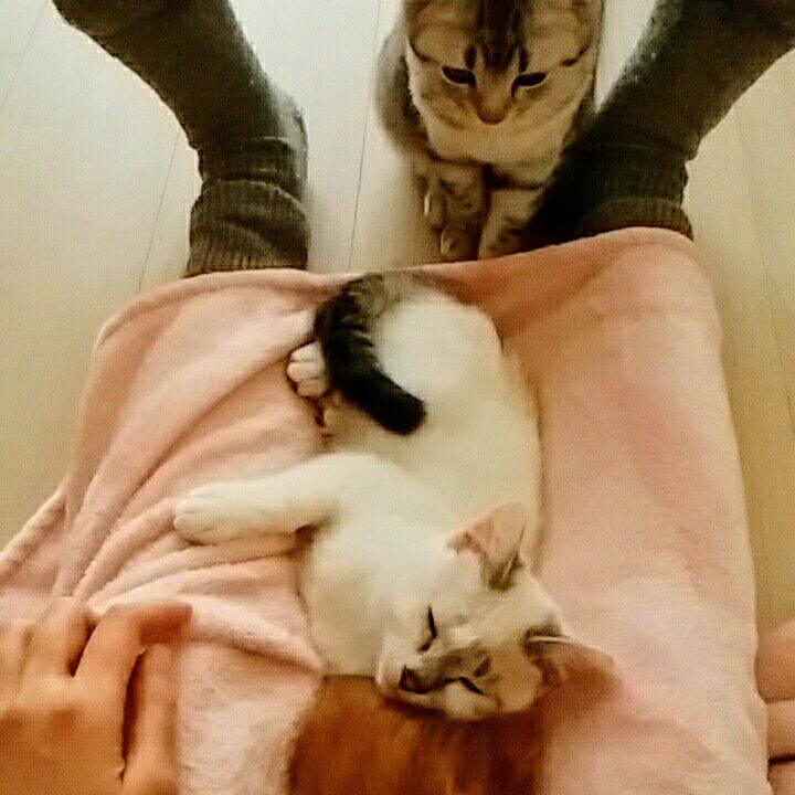 Dee1639f 33bb 4a74 ac45 b4d344ecf918